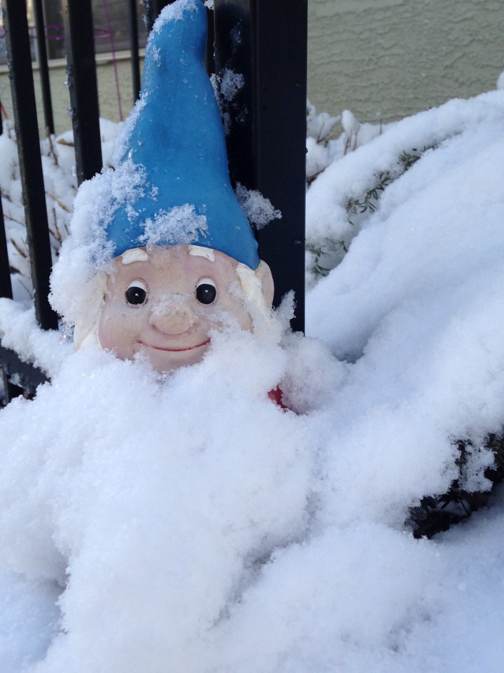 138E81E3-79A6-4993-8AA2-8A2C1F2AF26D