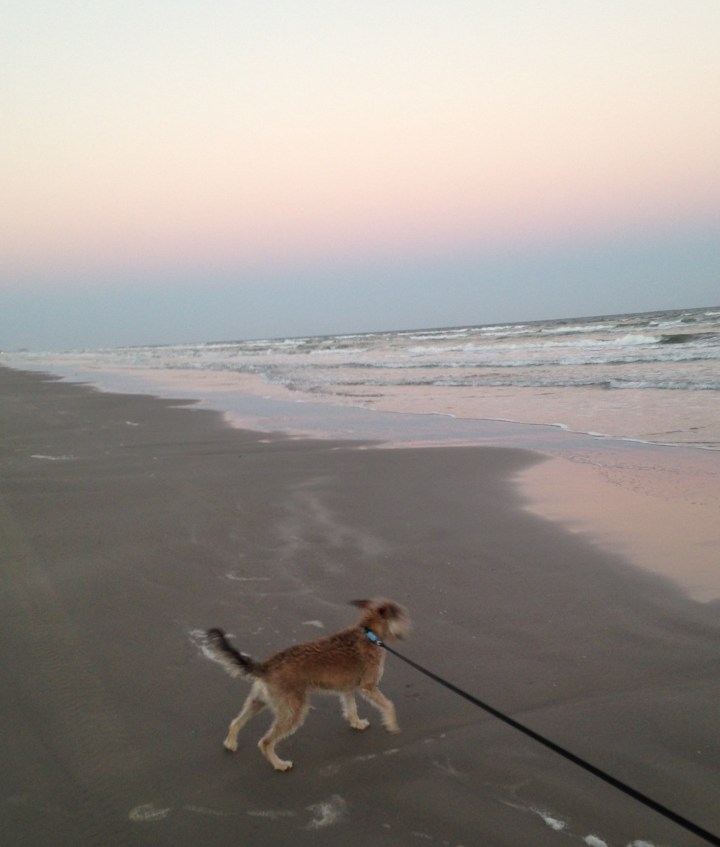 253F8AE0-B04C-4184-81D2-FD4C45AAEA1D