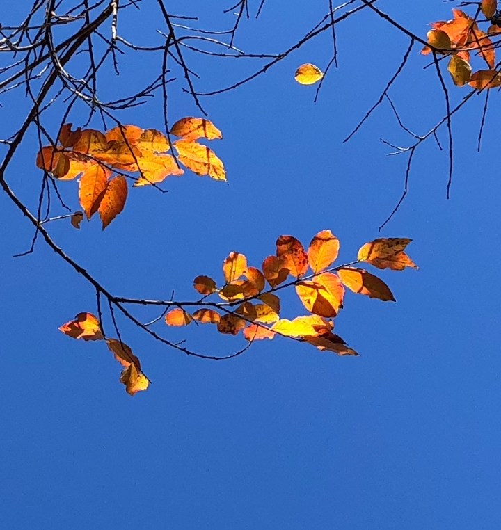 26726A6A-3275-47CC-B40D-72F34188C585