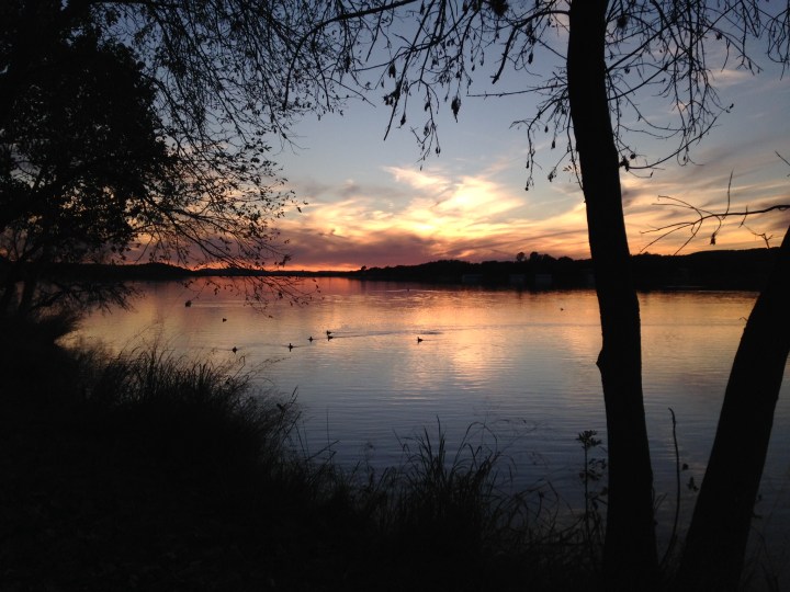 70AB8DF0-E02A-48A7-98DC-1866B64CDA8E