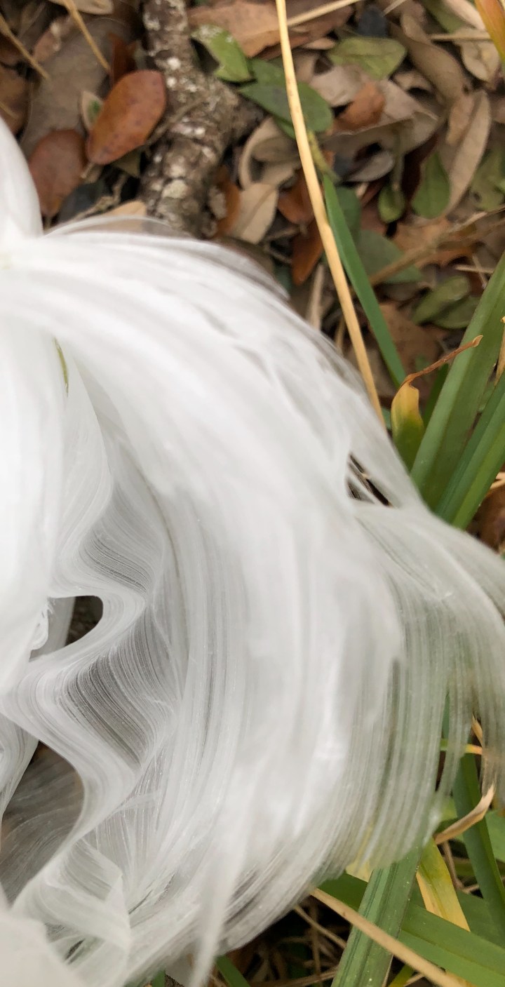 61271299-47D7-426A-912E-1E3740FF6DF0