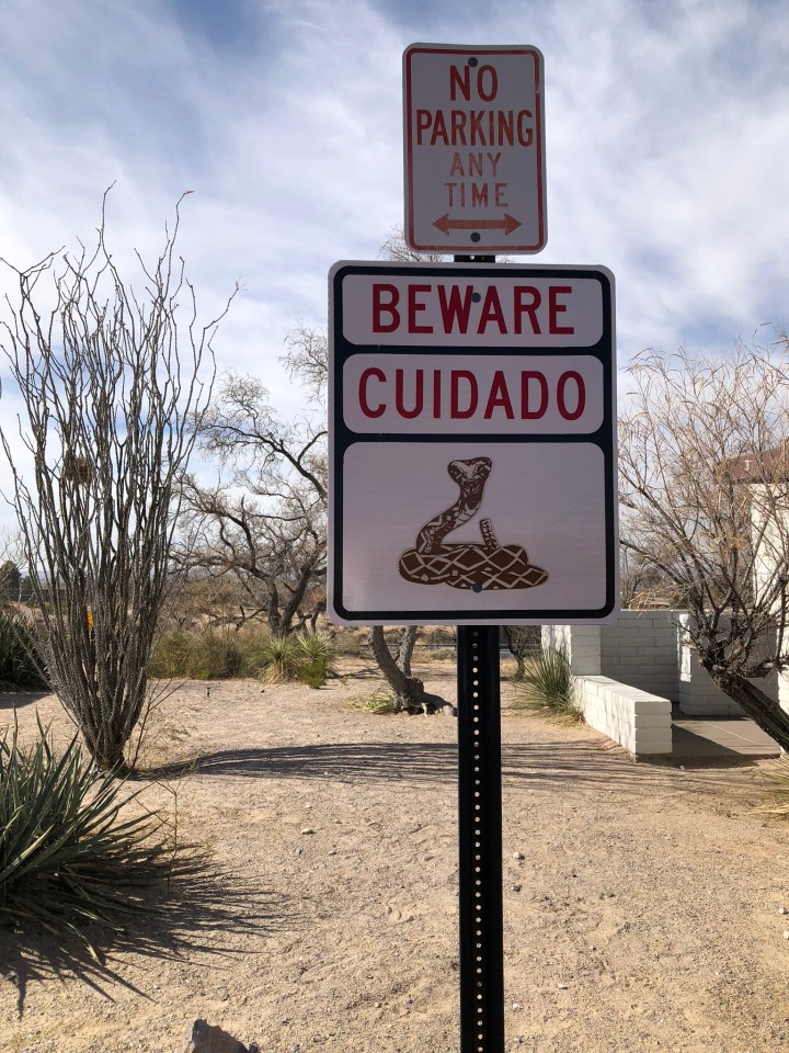 95F865EB-ECA2-477E-8BF7-AA0BCC59F6F2