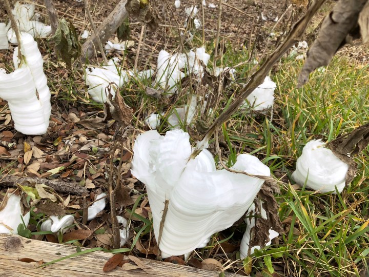 B0BA91A1-7B3C-4A4A-8598-019BFD226C87