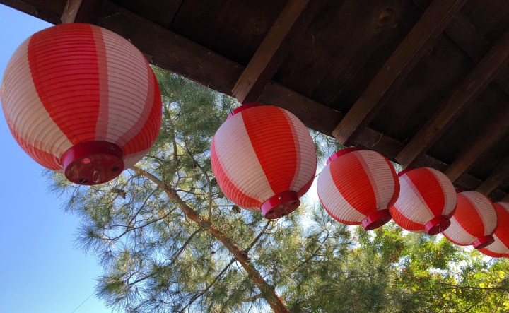 BA59A1A7-4AEB-4D65-8943-075494CA9A43