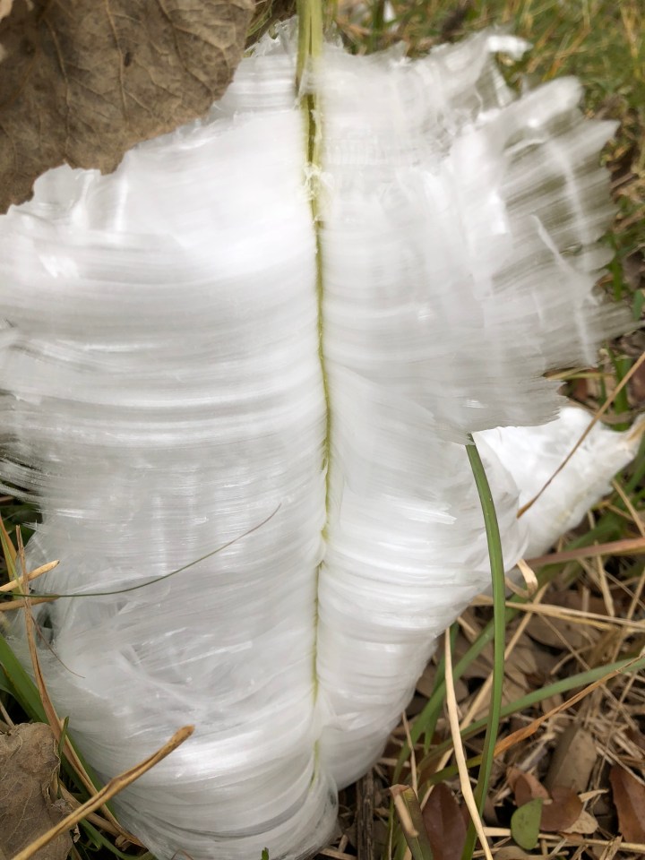 DCB21274-2172-415C-9E49-CCDD93E8B28B