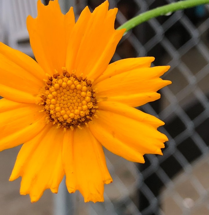 40F3C9CD-8914-40DC-8746-AFEBEC43E944