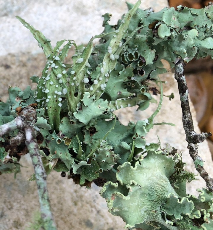 F726B035-DB39-48FD-9FB3-1405B51BC767