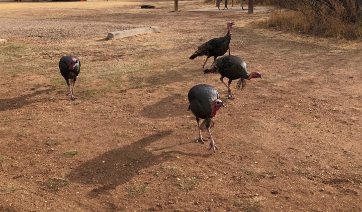 9414106D-850B-42D4-BD37-EB0FA1692FFA