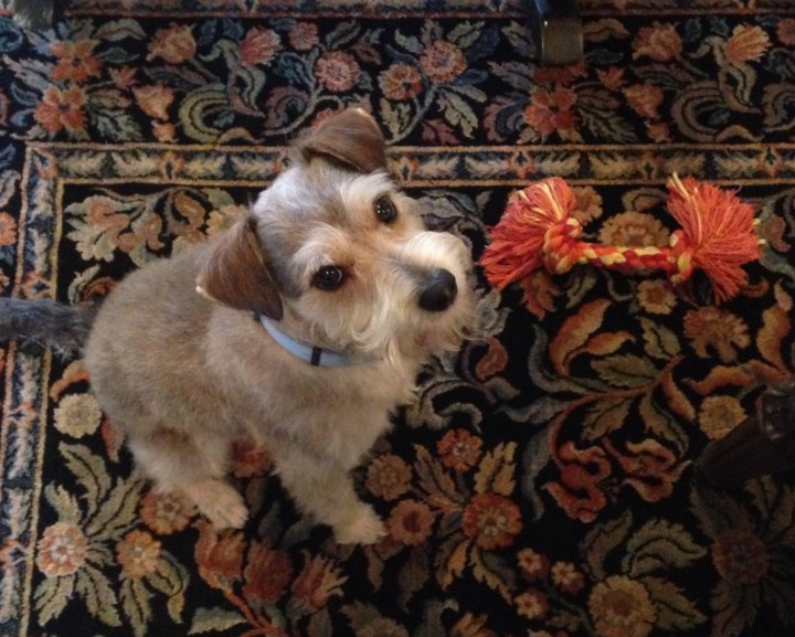 E614AB6B-4B5C-4FF2-A8AF-7E4B24AE0107