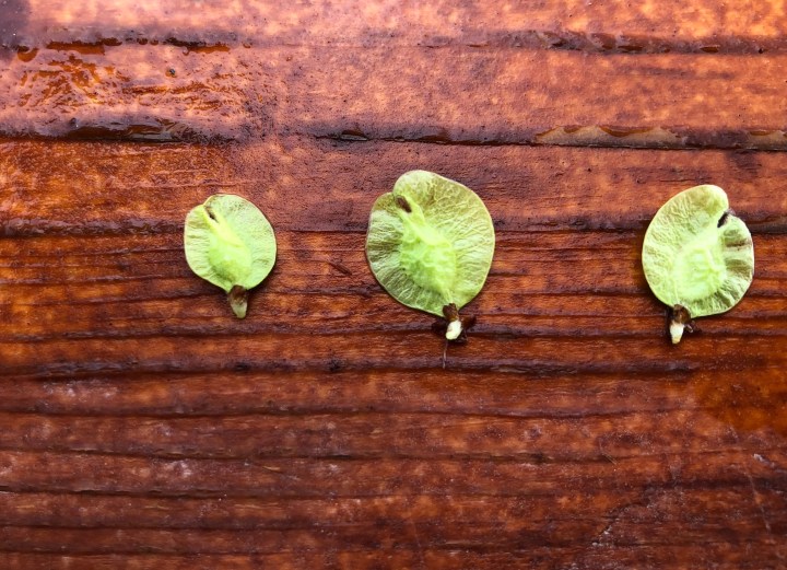 E8901597-CBE1-45B3-AC0E-CD406F1C4D9F