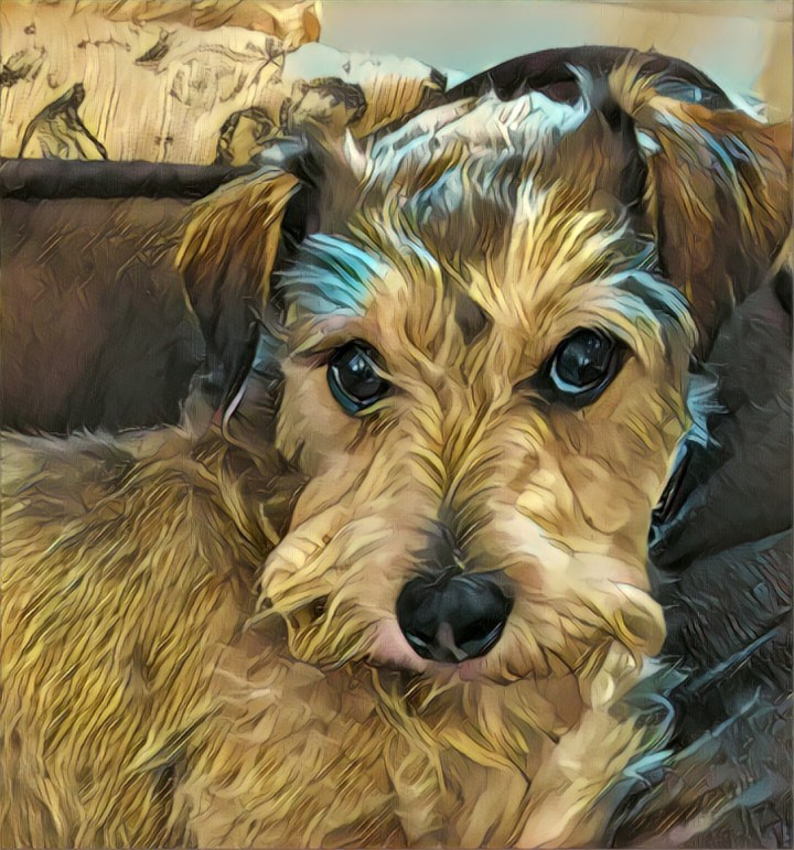 51EE209B-14FC-4DDC-93DF-3778CF8D7BE0