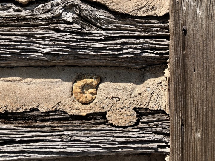 9007B966-12E8-4E79-B16E-56A8424EF57B