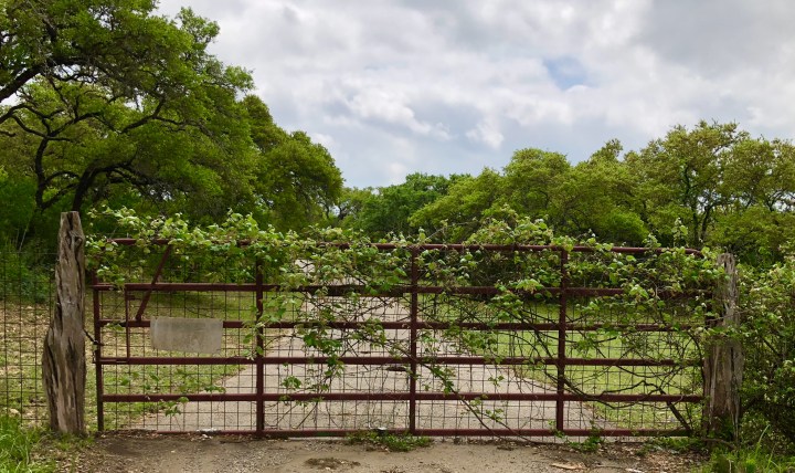 E4279AA9-080D-436F-B361-8540E82A9AC6