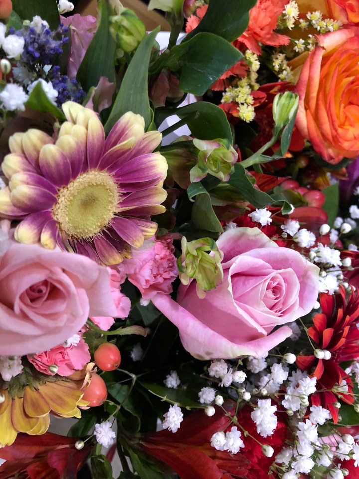 46F9B935-B058-47E6-8CC5-6EB469C8F200