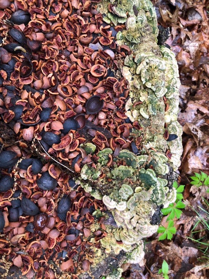 AFA49A4E-A15B-4A70-A17D-03D084ED529E