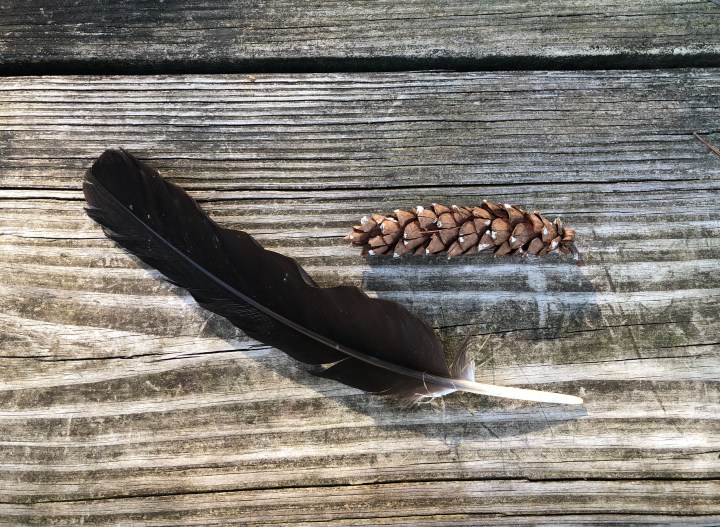 EBCD0B18-E6FA-4529-9C89-AC88853C3D48