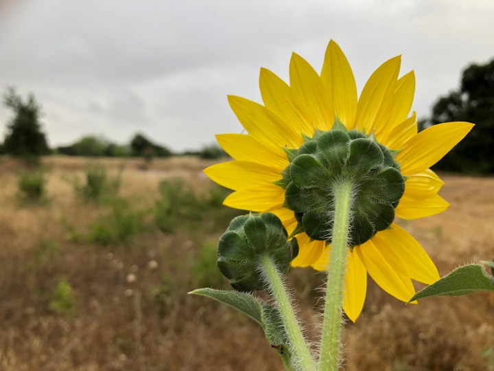 37B4E741-CA42-40D1-8A96-5882FAE26855