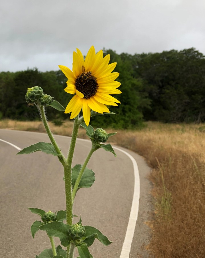 D39736E4-4015-49D4-AD59-8E25FF6BD2BA