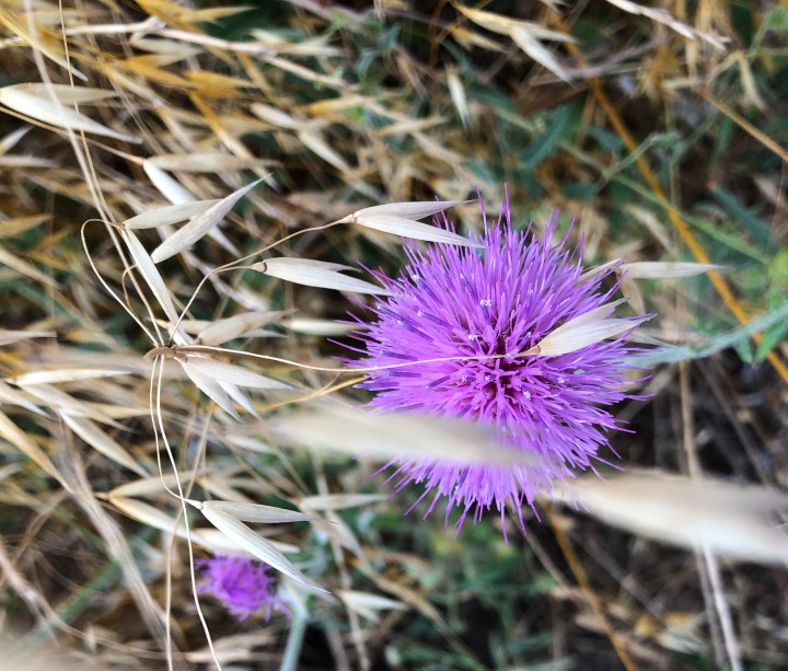 E47C531B-38D8-44DD-9E47-D62D0A4E1D6E