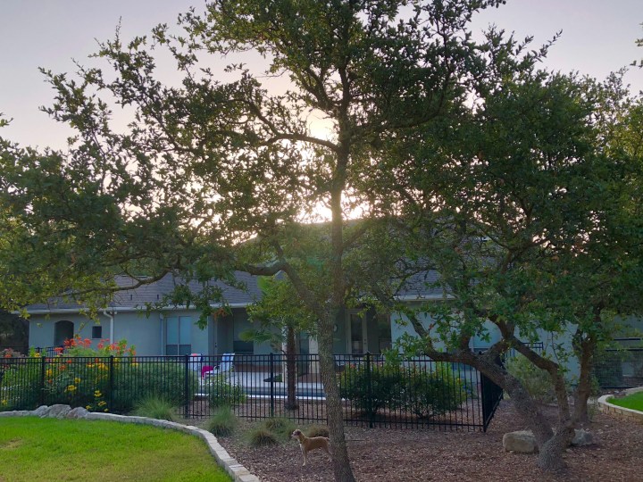 0A7B8A6B-71FE-4C17-8B54-6405DB2D9863