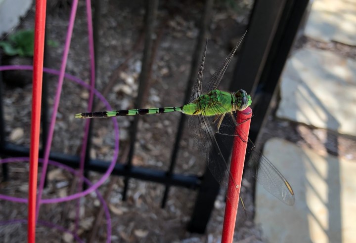 09D2C1EB-1BA1-47E3-9052-6094589FF056