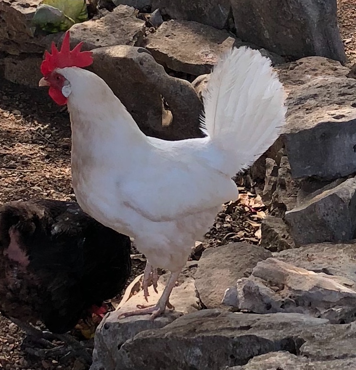 532A0852-F77C-4906-A374-1E79CD0C2B22