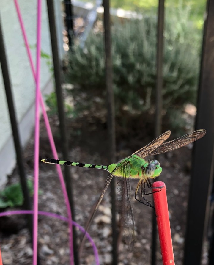 8D065C5F-6827-45E0-9102-9BBE4D0CA85D