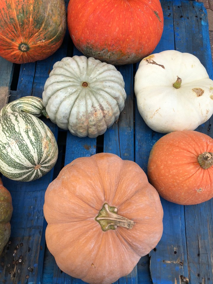 6FA84995-4BCB-4867-AFEB-34383830C7F5