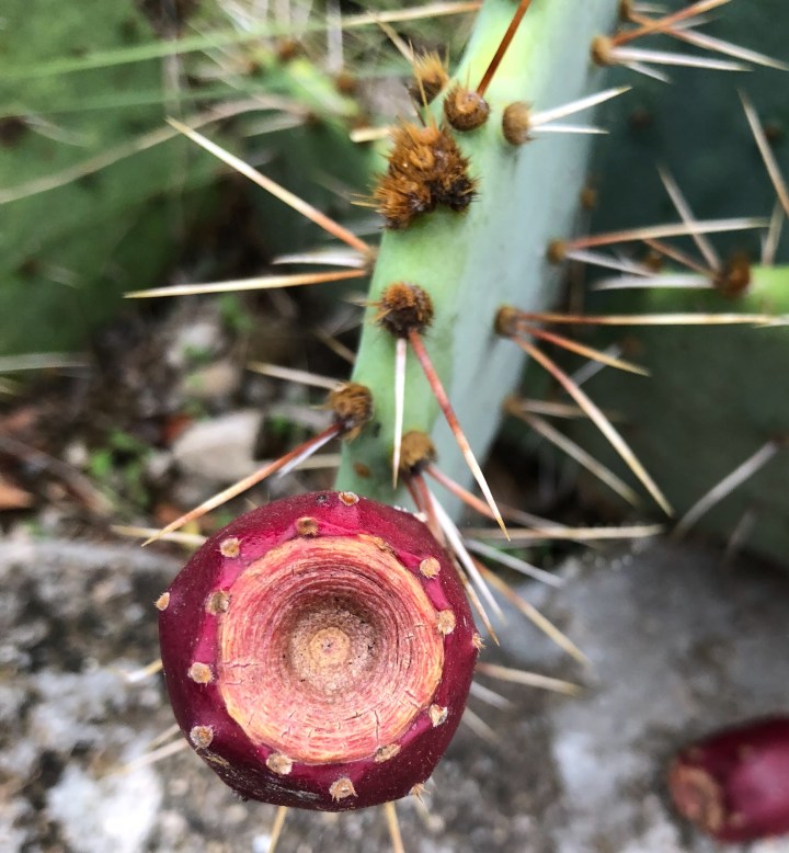 A8B46681-9F2B-45A5-B35C-B16BCB7D2797