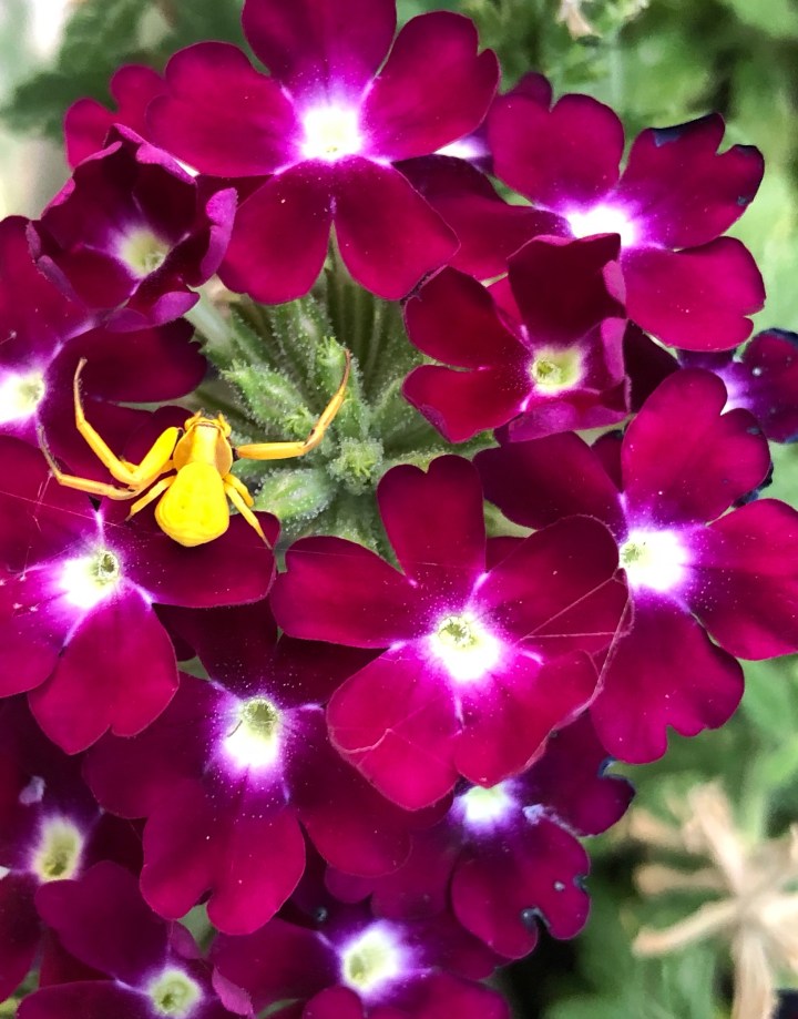 C9D50441-9B5B-4201-B85E-83B905ACBB86