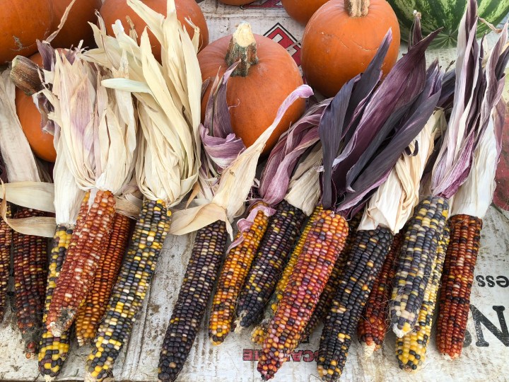 E9E50010-D0B1-4D65-99EE-C7557991E497