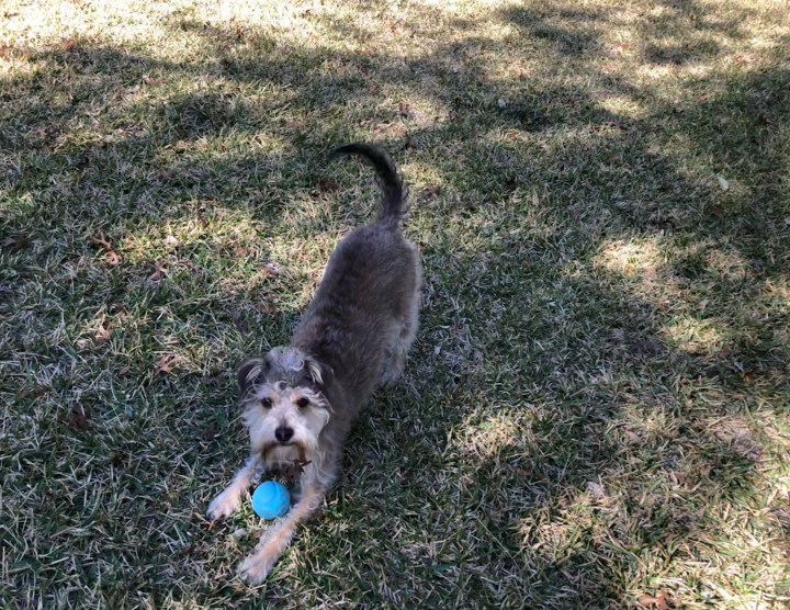 62B053C9-D030-4C19-A604-FAB6EDBFA50D