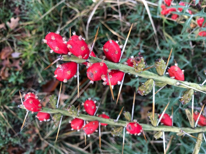 3ea1d590-eb67-4fac-97b0-3a86ddfdeea2