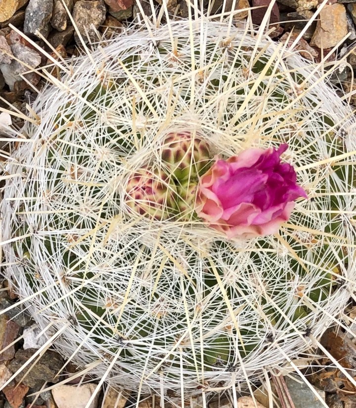 F08B2A28-FAC7-4ABF-B7E9-024844200F9B