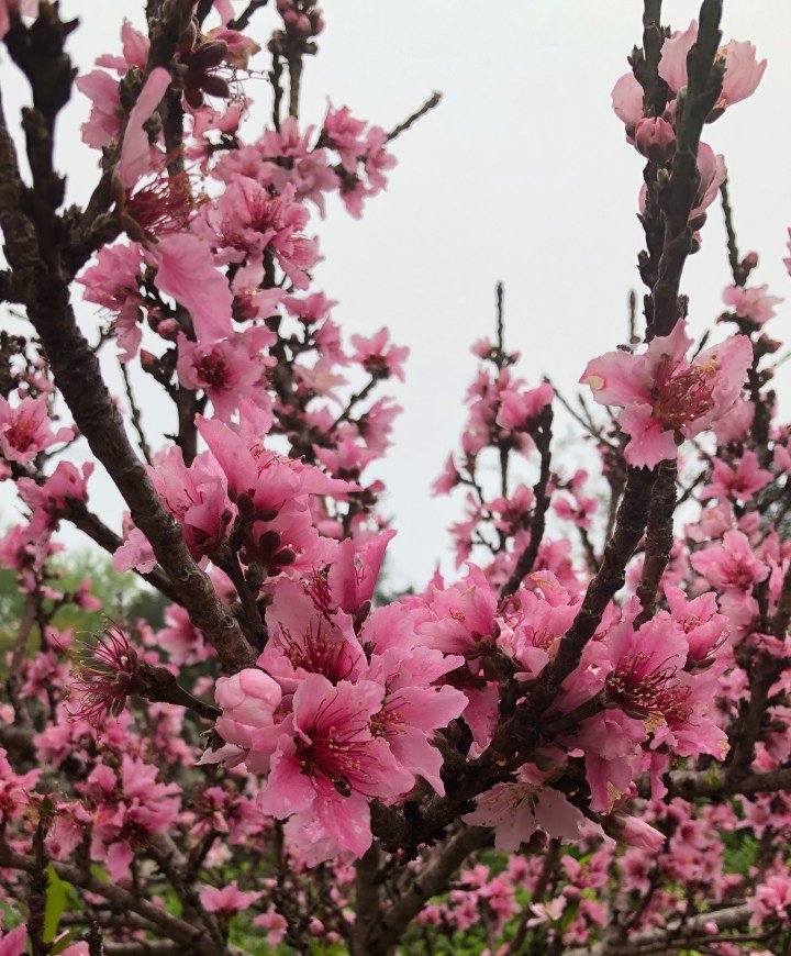 0F6084F1-1EAB-4961-800D-21CBDF719878