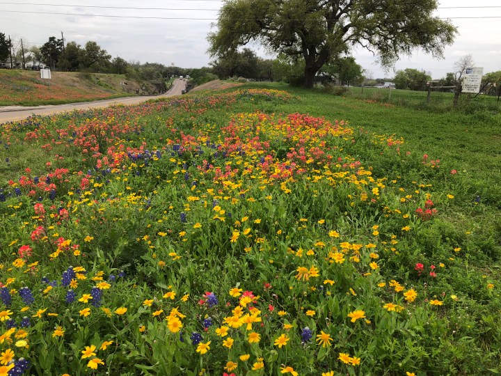 2B036780-F493-4133-8ED7-95360DFDF374