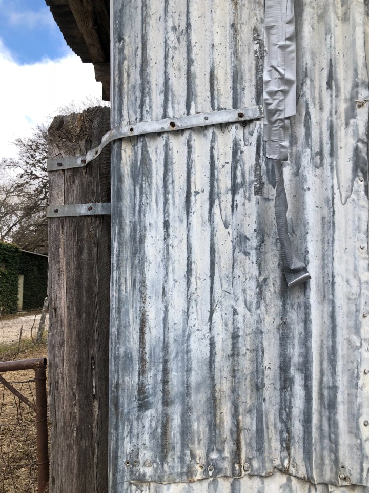 BB218C31-4443-4C1B-8C5E-BE3C39A13F71