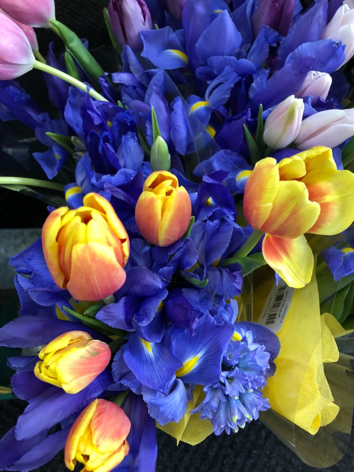 97A6A6A9-F20D-47B7-B128-2D49AA957DBB