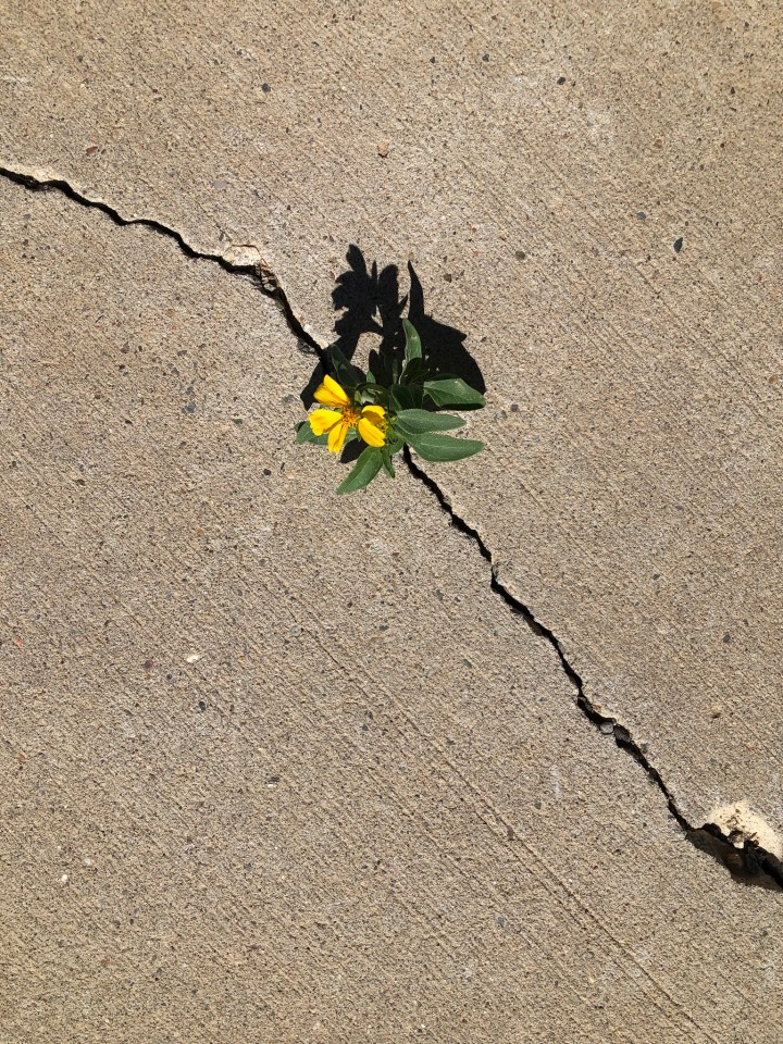 31FEAA21-8C0E-4AB3-B2A3-5B0A879E6BE2