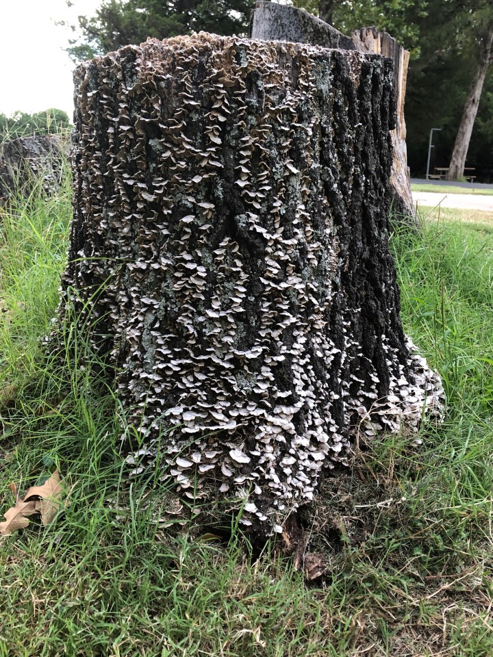 B28273B9-3E5C-4576-877C-EF48AF569069