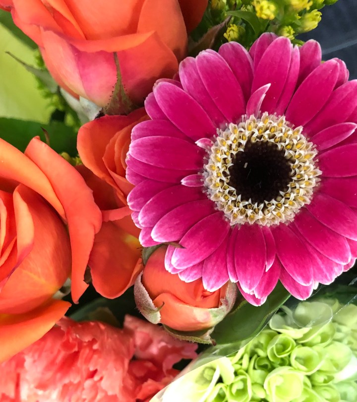 DCAF94E2-803D-4238-98B0-C091539D84C9