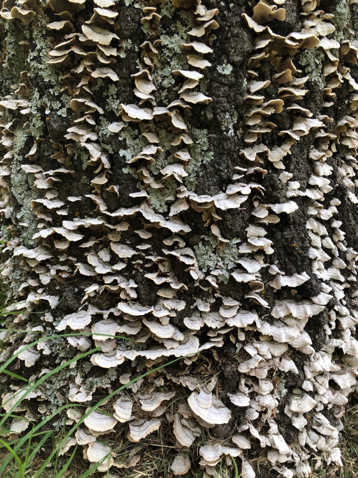 E9973321-F0CA-4D65-BECE-D2F37CEDFC89