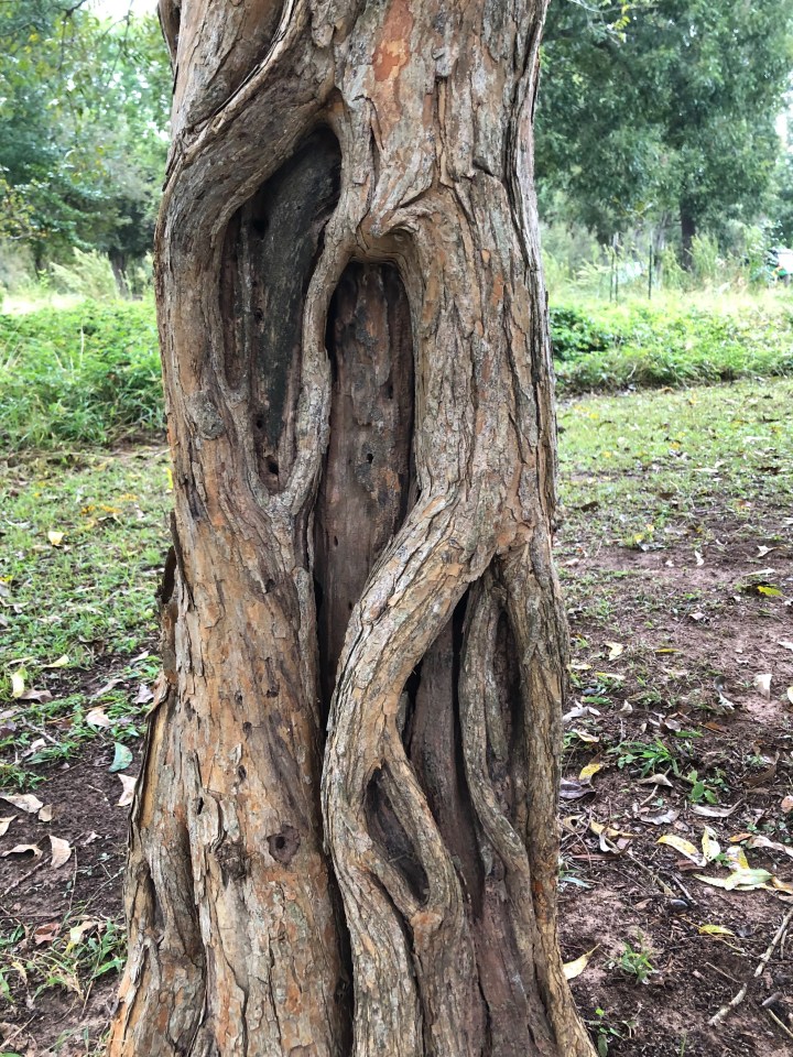 09E4AF69-57C5-42F7-AE25-9447379ABB62