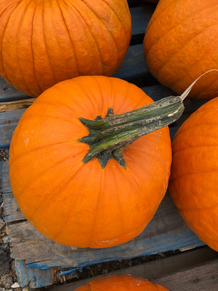 1A6714D7-25F7-4EE7-AD1C-5BA27A99F480