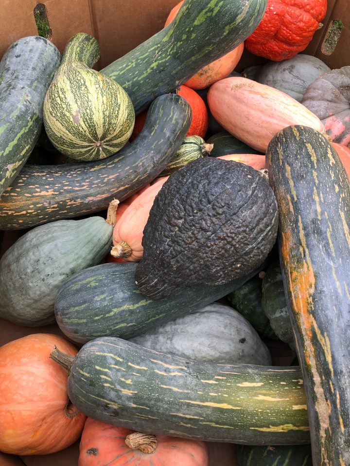 4F9CDA4E-EDBF-40F6-85DF-F7BCA8E69893