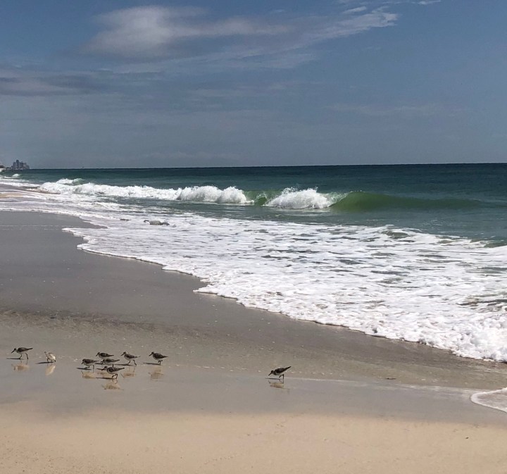 511DC519-3D2A-47E2-8696-2F1D9E9BBCE0