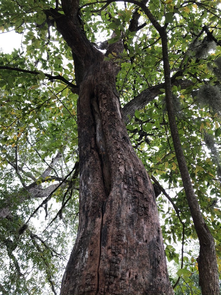 D9492190-3C6A-4859-A06C-C96064049D61