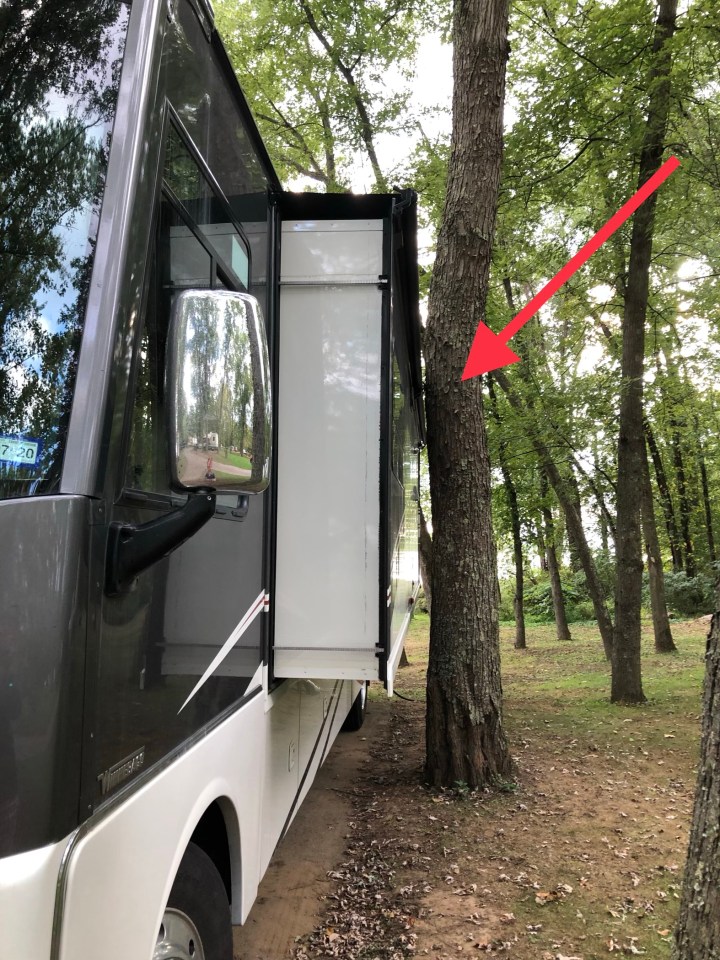 F96E2036-EDBE-4A8B-A130-19AC48350D46