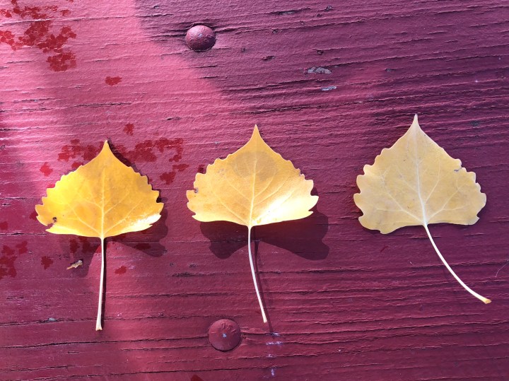 8C0DB57D-1EFC-4580-AD29-369D80455DCD