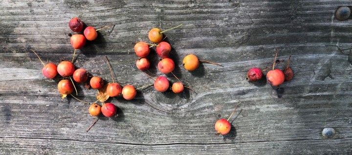 323BD9FC-6EBE-4E0E-9A6E-70407944DBE7